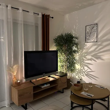 Maison Climatisee, Proche Meet, Airbus Et Aeroport Aussonne